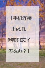 手机连接上wifi但密码忘了怎么办?
