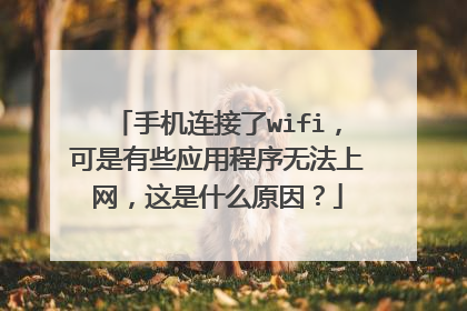 手机连接了wifi，可是有些应用程序无法上网，这是什么原因？