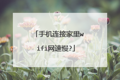 手机连接家里wifi网速慢?