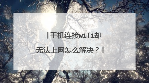 手机连接wifi却无法上网怎么解决?