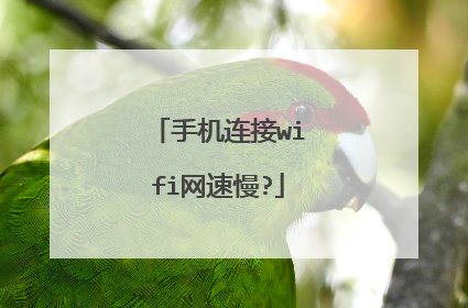 手机连接wifi网速慢?