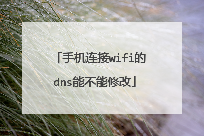 手机连接wifi的dns能不能修改