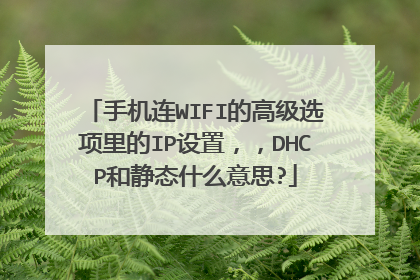 手机连WIFI的高级选项里的IP设置,,DHCP和静态什么意思?