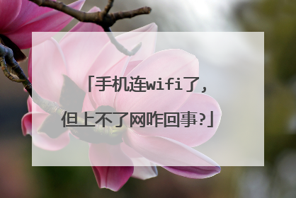 手机连wifi了,但上不了网咋回事?