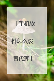 手机软件怎么设置代理