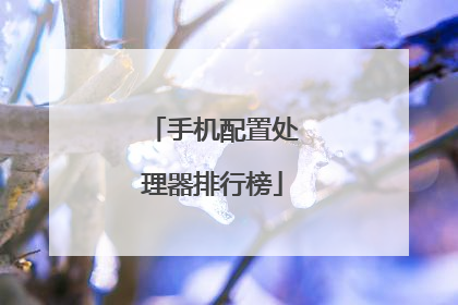 手机配置处理器排行榜