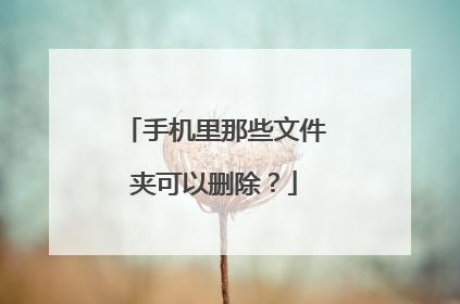 手机里那些文件夹可以删除?