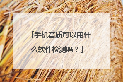 手机音质可以用什么软件检测吗?