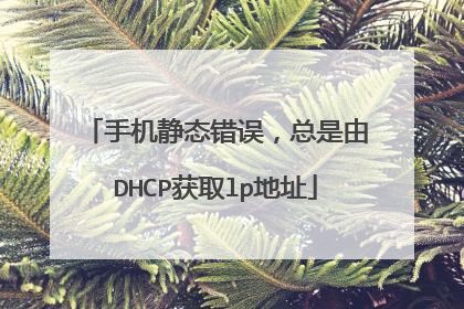 手机静态错误，总是由DHCP获取lp地址