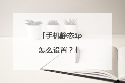 手机静态ip怎么设置？