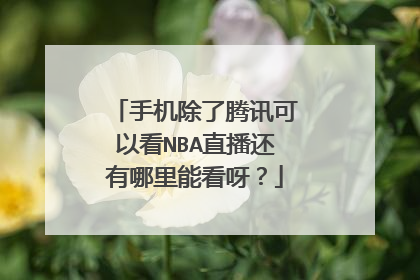 手机除了腾讯可以看NBA直播还有哪里能看呀?