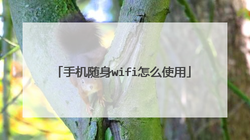 手机随身wifi怎么使用