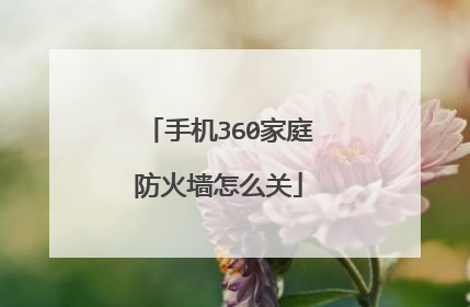 手机360家庭防火墙怎么关