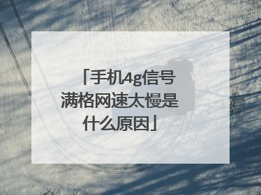 手机4g信号满格网速太慢是什么原因