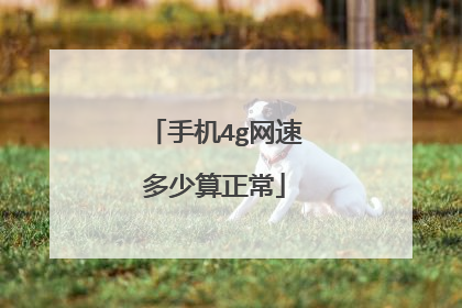 手机4g网速多少算正常