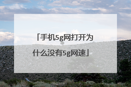 手机5g网打开为什么没有5g网速