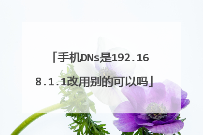 手机DNs是192.168.1.1改用别的可以吗