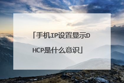 手机IP设置显示DHCP是什么意识