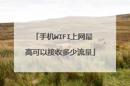 手机WIFI上网最高可以接收多少流量