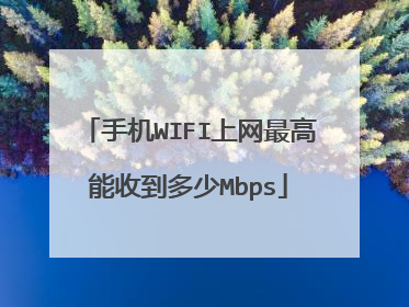 手机WIFI上网最高能收到多少Mbps