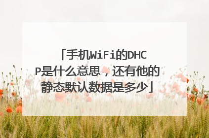 手机WiFi的DHCP是什么意思，还有他的静态默认数据是多少