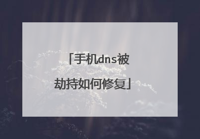 手机dns被劫持如何修复