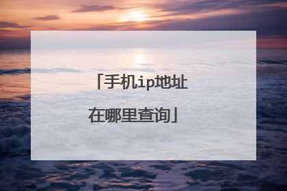 手机ip地址在哪里查询