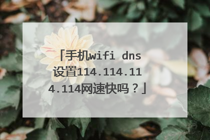 手机wifi dns 设置114.114.114.114网速快吗?