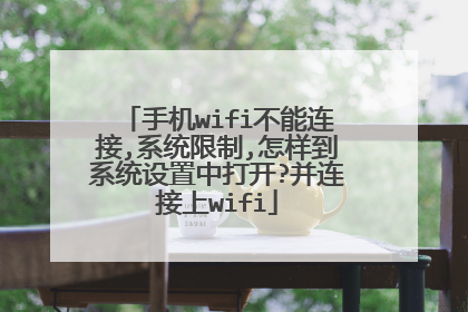 手机wifi不能连接,系统限制,怎样到系统设置中打开?并连接上wifi