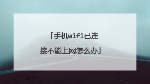 手机wifi已连接不能上网怎么办