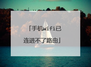 手机wifi已连进不了路由