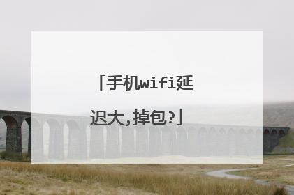 手机wifi延迟大,掉包?