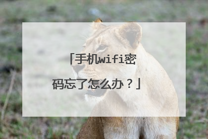 手机wifi密码忘了怎么办？