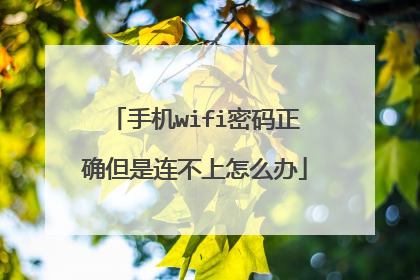 手机wifi密码正确但是连不上怎么办