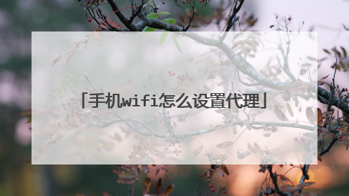 手机wifi怎么设置代理