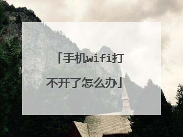 手机wifi打不开了怎么办