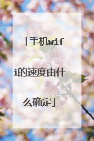 手机wifi的速度由什么确定
