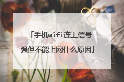 手机wifi连上信号强但不能上网什么原因