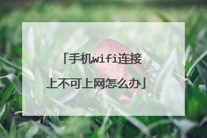手机wifi连接上不可上网怎么办