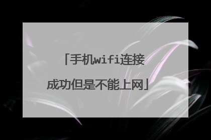 手机wifi连接成功但是不能上网