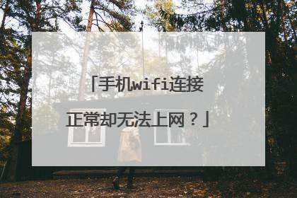 手机wifi连接正常却无法上网?
