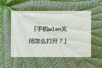 手机wlan关闭怎么打开?