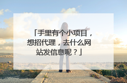手里有个小项目，想招代理，去什么网站发信息呢？