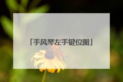 手风琴左手键位图