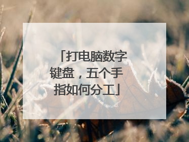 打电脑数字键盘,五个手指如何分工