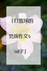 打篮球的男孩作文550字