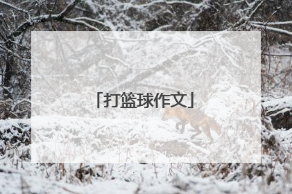 打篮球作文