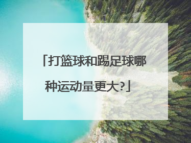 打篮球和踢足球哪种运动量更大?