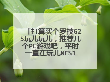打算买个罗技G25玩儿玩儿，推荐几个PC游戏吧，平时一直在玩儿NFS13，据说还有更适合G25的，推荐下