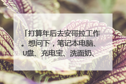 打算年后去安哥拉工作。想问下，笔记本电脑、U盘、充电宝、洗面奶、爽肤水、乳液、防晒喷雾、眼影、粉扑